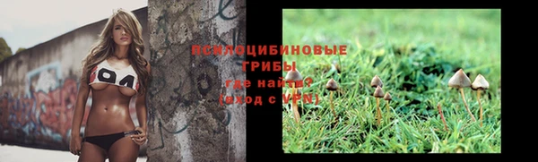 сатива Белоозёрский