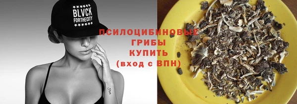 сатива Белоозёрский