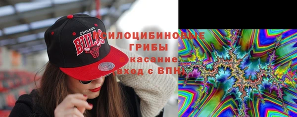 соль курить ск Богородск