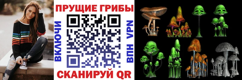 цены наркотик  Белебей  Галлюциногенные грибы Cubensis 